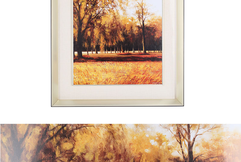 现代装饰画插画 工艺画客厅 沙发背景墙装饰55x55x2-15