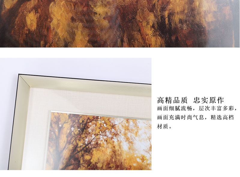 现代装饰画插画 工艺画客厅 沙发背景墙装饰55x55x2-18