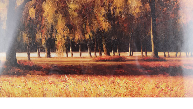 现代装饰画插画 工艺画客厅 沙发背景墙装饰55x55x2-16