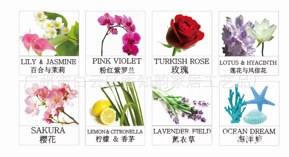 玫瑰无火香薰厂家 家居摆件郁金香藤条挥发香薰A334