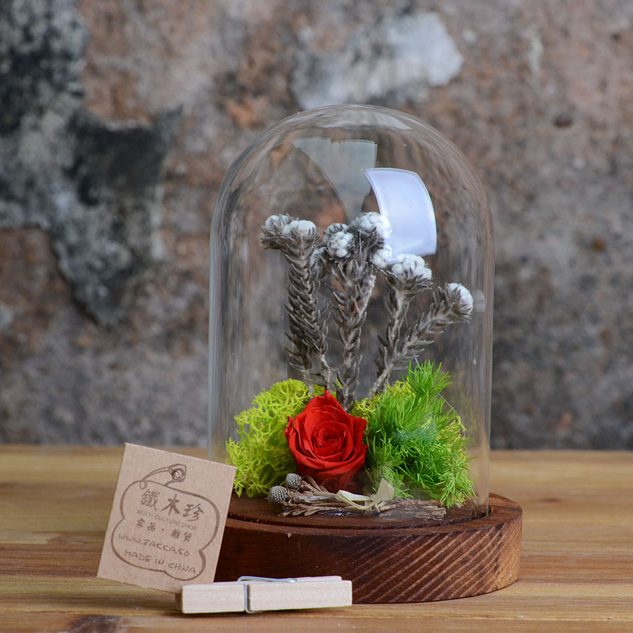 情人节活动促销款 保鲜永生玫瑰花玻璃罩 欧式吹制花罩 微景观 A011
