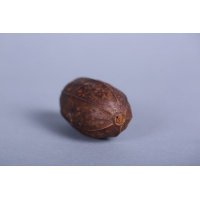 简约田园风格观赏饰物大花生造型摆件摄影背景摆件