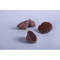 简约田园风格家居饰品天然莲蓬植物摆件