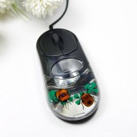 甲虫琥珀精品鼠标 光电昆虫琥珀鼠标
