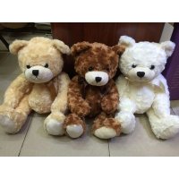 毛绒公仔大金扣熊