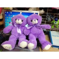 紫色熊毛绒玩具大号抱抱熊公仔布娃娃玩偶女生生日礼物玩具熊2