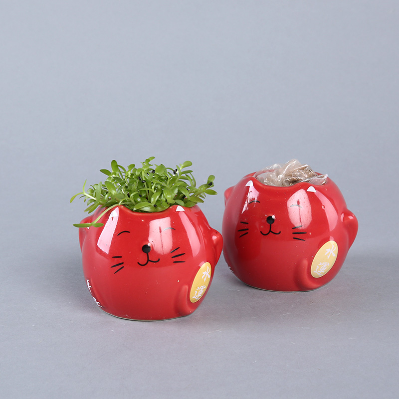 [陶然居]创意园艺师迷你盆栽 可爱呆萌笑脸招财猫盆栽 家居办公室小