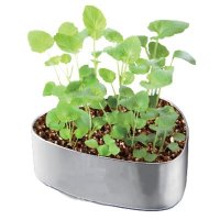 心愿盒迷你盆栽 心语心愿DIY 44728