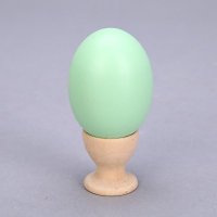 木鸡蛋（蛋托）青色实木仿真鸡蛋蛋托儿童手绘自绘彩绘diy木制手工材料木质蛋托 AOE06