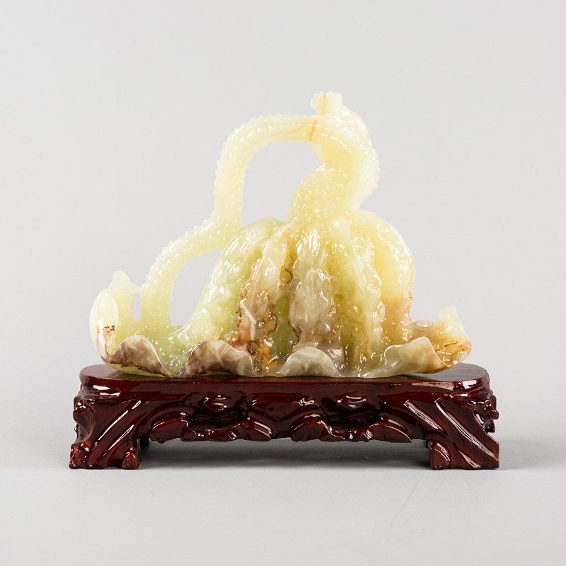 何莲翠鸟 巴玉3