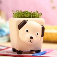 时尚创意动物总动员绿色迷你小盆栽
