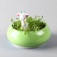 创意园艺师迷你盆栽 么么哒创意盆栽 家居办公室小盆栽 MMD50件批16元