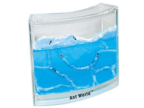 出口品质蚂蚁工坊 新奇玩具 创意礼品 全英文包装1