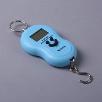 便携式弹簧秤 手提电子秤 快递秤