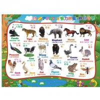 小片25块益智拼图