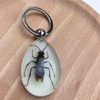 不锈钢钥匙挂件昆虫标本人工琥珀钥匙扣创意礼品匙扣个性礼物