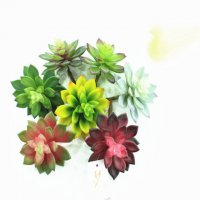 仿真塑胶肉肉植物 高升雪莲 观音莲