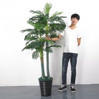 仿真珍珠葵 凤尾葵 散尾葵 各种大型仿真植物 酒店装饰仿真树假树 仿真珍珠葵