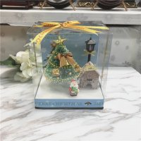 圣诞节中号发光音乐盒