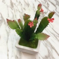 家居装饰高仿真植物花卉盆栽
