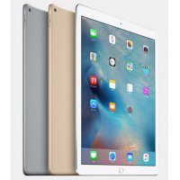 苹果Apple iPad Pro 12.9英寸 64G平板电脑 Retina显示屏(深空灰 WLAN