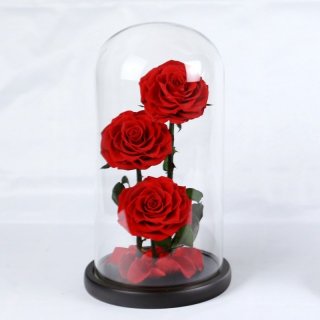 高档礼品 永生花