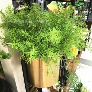 仿真植物北欧蕨草仿真天门冬1620草家居装饰铁架花塑料花批发摄影