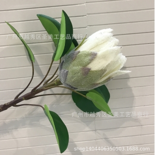 仿真花厂家直销现货仿真帝皇花批发家居装饰花婚庆花热带仿真花