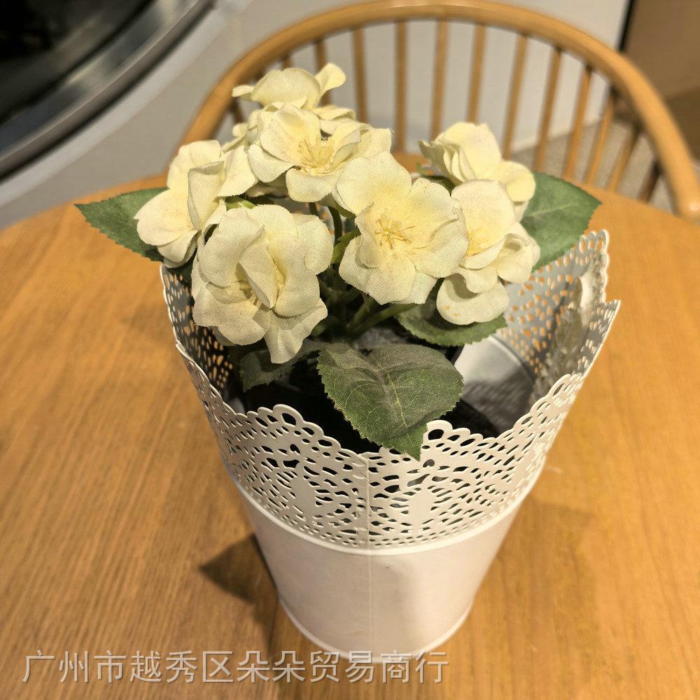 微信图片_20250521143732.jpg
