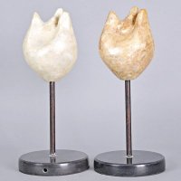 家居摆件装饰贝壳抽象雕塑桌面摆饰高档时尚美观欧美宜家装饰品ADS08-2