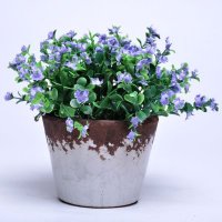 仿真7头加利花迷你小盆栽摆件 办公桌仿真花小盆景 套装含盆 素雅绿植物仿真花S625134